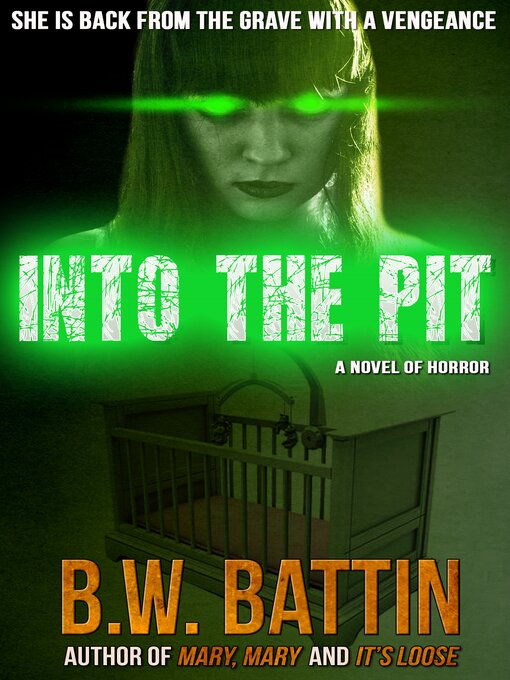 Cover image for Into the Pit
